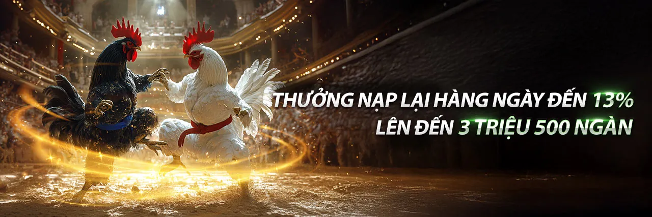Cá Cược Đá Gà 8fbet